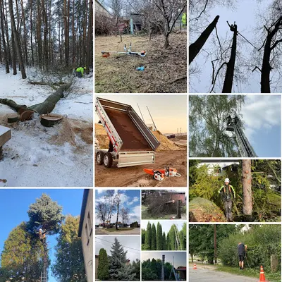 Wycinka drzew - PS-GreenTech Przemysław Słaboń